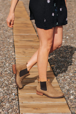 ALONZA AGUSTIN RENOBUK TAUPE