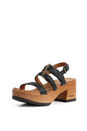 PAJARO PENELOPE GAUCHO NEGRO