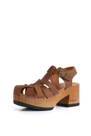 PÁJARO PURIFICACIÓN TEXAS TOSTADO